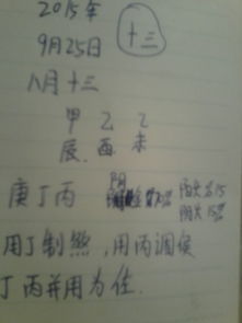 农历12月诞生的羊宝宝起名指南