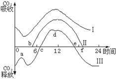 13. 光照强度与阳气充盈