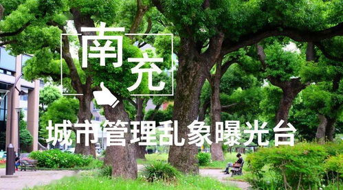 倾斜之忧：警惕平安隐患与阳光角度