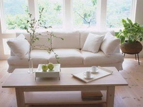 三、 典型案例分析：空间布局对居住者生活质量之影响