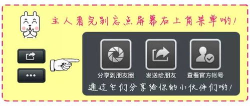 2026年神秘购票渠道