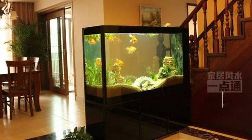 不同数量组合的风水解析