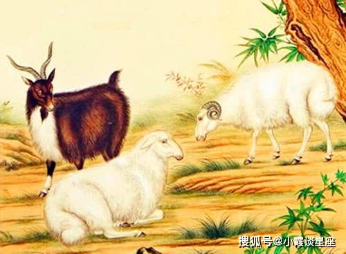 二、 生肖羊：温柔亲和与情感回报机制的正向循环