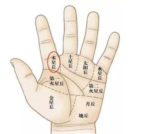 女生手相杂乱无章是什么原因？