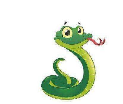 一、 属蛇者的事业布局及财富增长机制