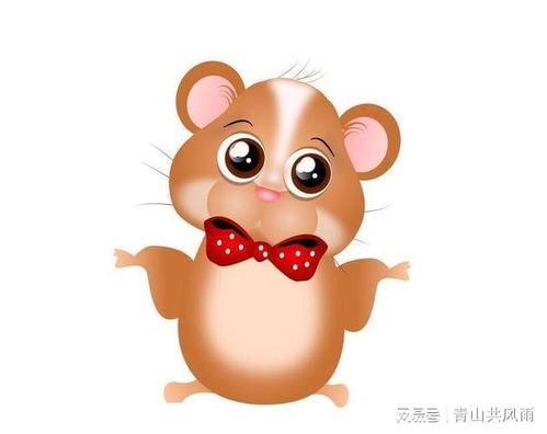 一、 探究背景与对象界定