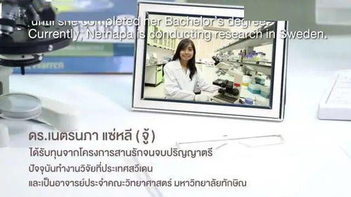 2. 空间布局与思维清晰度的关联