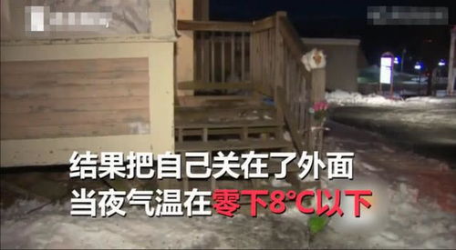二、 心理状态学解析：潜意识与情感投射