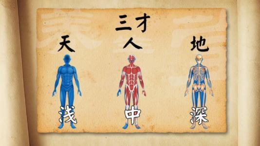 二、 三才结构的更多维诠释