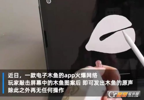 网络流行的设定