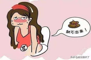 定时排便，形成生物钟
