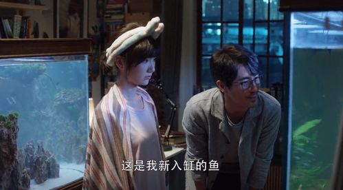 基于生肖、星座与风水视角对死亡后情感纠葛及其梦境反映之深入探析