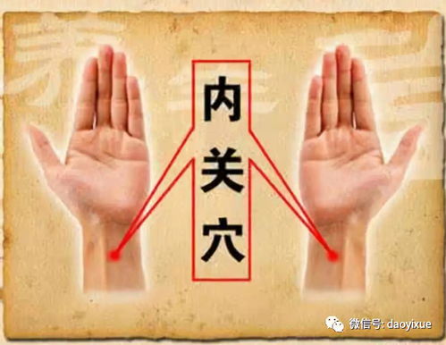 四、  乳穴与突穴：老阴之形与生发的物理表征