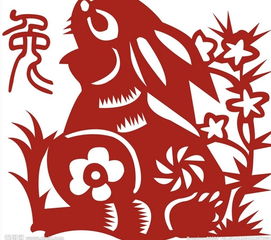 震惊！12月6日运势大揭秘，看完的人都哭了