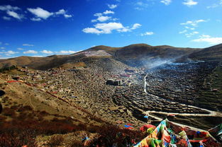 一些建议（如guo你真的想去的话）