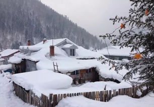 第二章：到了村里发现这就是个大号的冰箱冷冻室