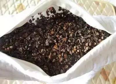 2. 薰衣草——芳香疗法中的安眠佳品