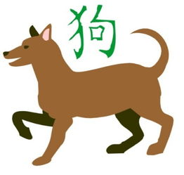 2026年属狗男性全年运势具体如何？