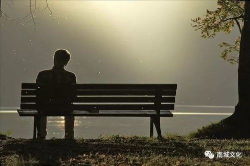 孤独灵魂的漂泊：网名中的寂寥意象