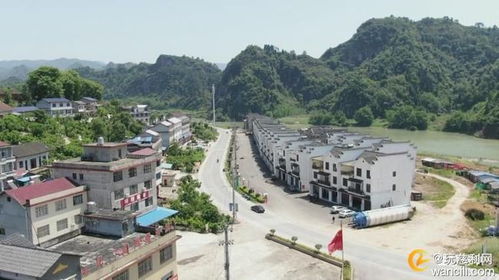 旅游大会：热闹还是混乱？（一场大型混乱现场）