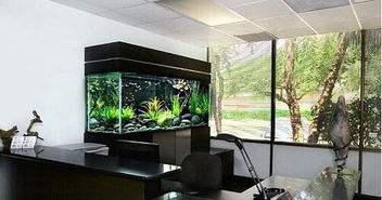 电脑放置在走廊中会对家宅风水产生怎样的影响呢？