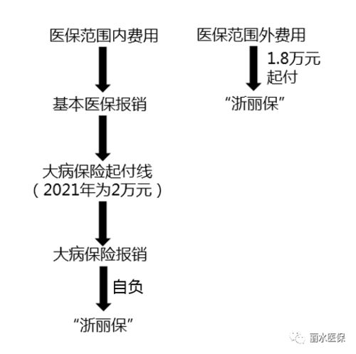 3. 临床建议与诊疗路径