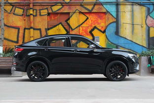 哪个吉利车颜色在13号中最为明亮？