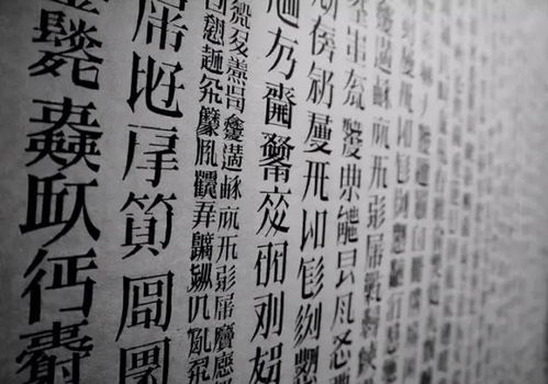 一、 历史持续发展背景与起源