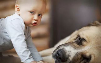 2026年猪宝宝男孩名字大全中，有没有文雅的猪年男孩名字推荐？