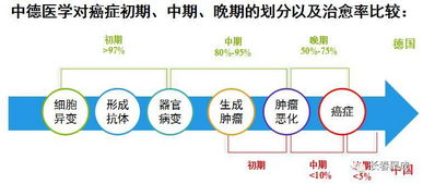 1. “忙”——适度繁忙以维持生理活力