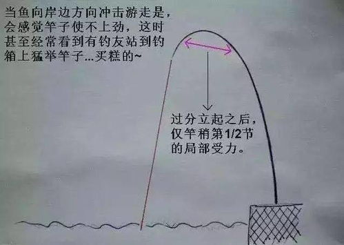 一、  生物鐘同步機制與固定時相投餌の實證邏輯