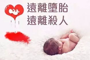 ：堕胎后婴灵报复的命题概述