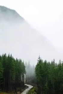山水意境类：天然之美， 心灵的寄托