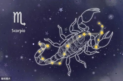 2026年10月巨蟹座运势和2025年天秤座幸运物件分别是什么？