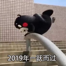 属兔者—持续进取