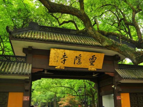 接下来：选个好时候去