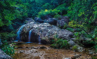 南海湾生态园登峰道石级游览攻略——或着说是一场惯与膝盖的惨痛回忆录