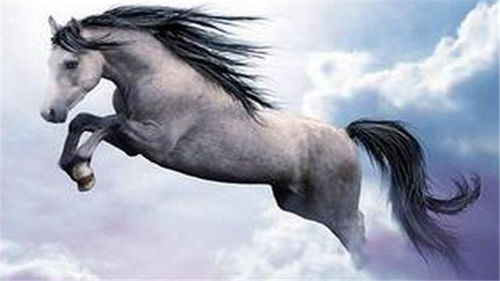 马到成功！属马人躺着都能赚钱