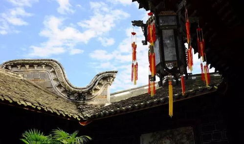 千年古榕会骂人？！