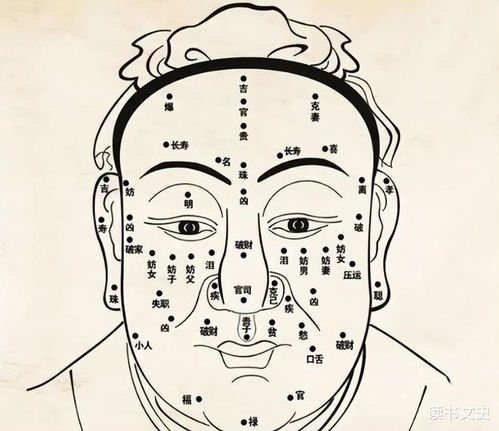 什么样的面相既稳重又好看，富贵面相有哪些显著特征？