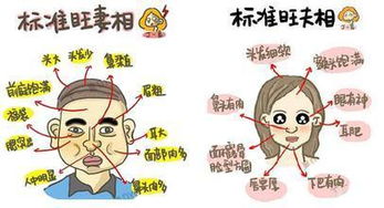 配偶宫特性：防卫心理及极端个性