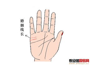 婚姻线的长短：情感深度的体现