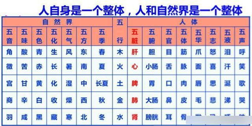 六、  认知模式与说服力：和谐构建中的思维博弈