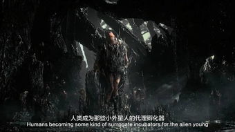 1.1 生肖配置中的暗潮汹涌
