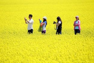 暴走攻略之我是冤种