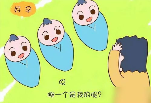 2.1 鼠肖智慧与五行的平衡：蒋瑾瑜的逻辑解析
