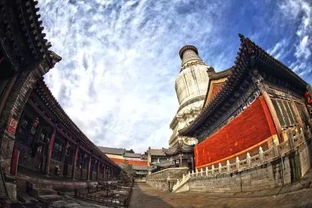 五、 效果评估与时间预期