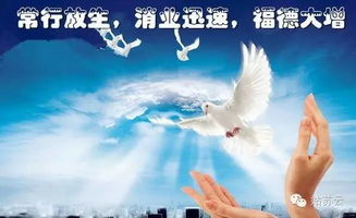 一、  传统文化视域下的生命观念与堕胎伦理