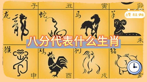 2000年是哪个生肖年？争分抢秒指的是哪个生肖年份？