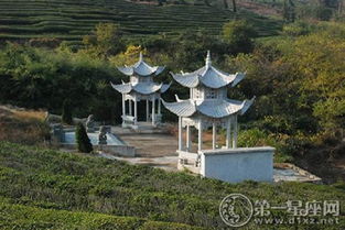 6月份和十月份分别适合修坟的吉日是哪天？